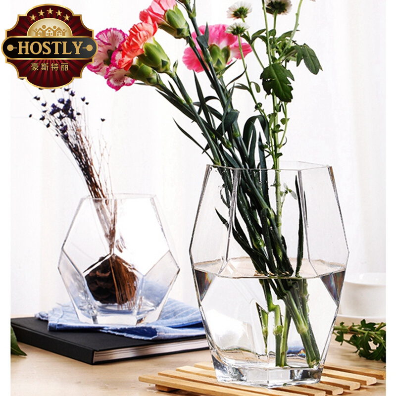 豪斯特丽（HOSTLY） 简约花瓶 透明工艺玻璃花摆件 纯手工玻璃水培花瓶 几何玻璃花瓶 一对