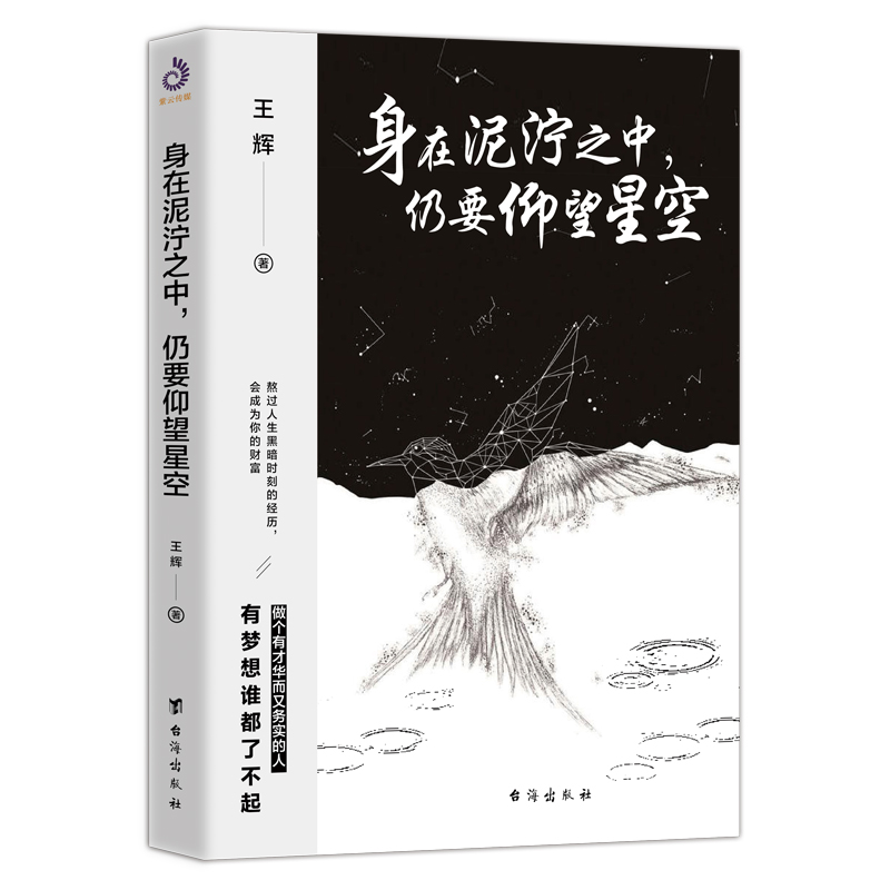 身在泥泞之中，仍要仰望星空详情图