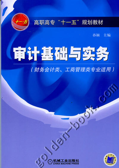 审计基础与实务 孙颖主编