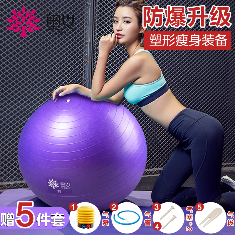 奥义瑜伽球 75cm加厚防滑健身球 专业防爆材质男女通用孕妇助产弹力球 赠全套充气装备 紫色