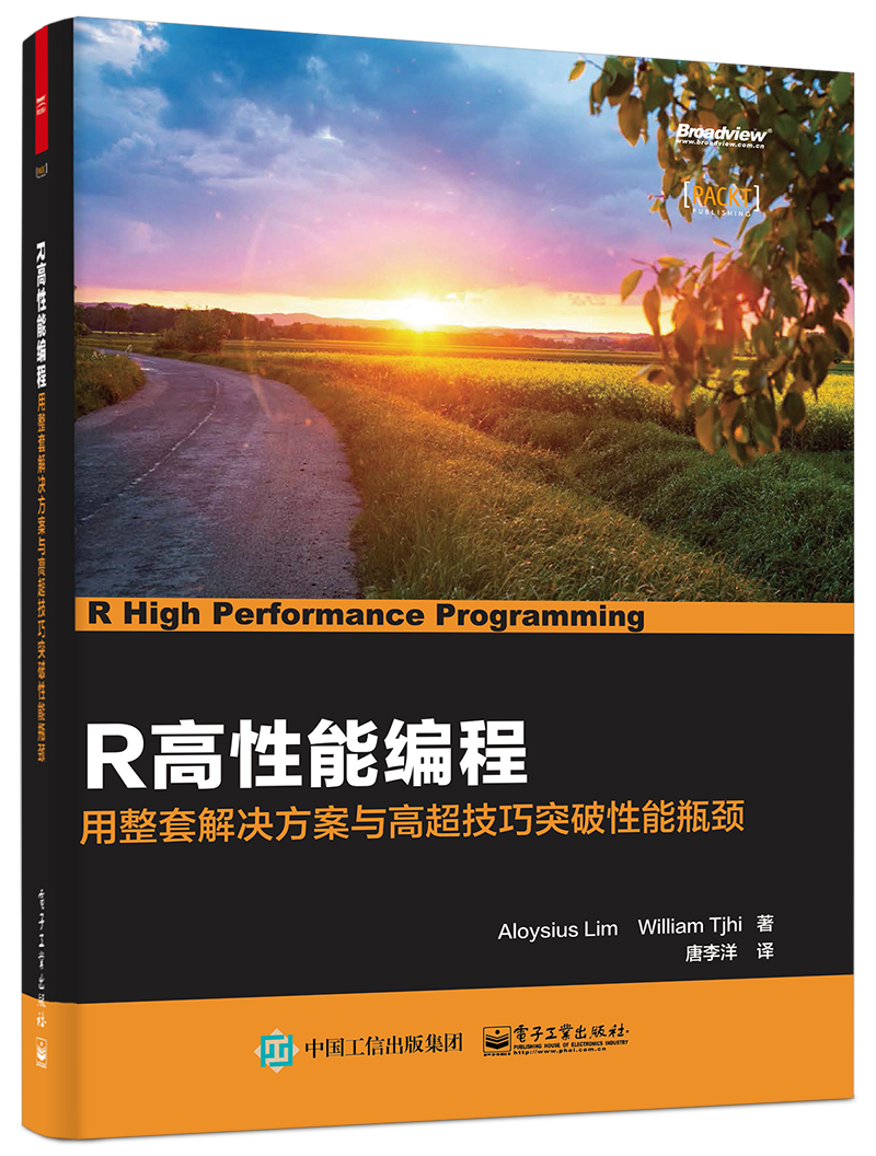 R高性能编程(博文视点出品)