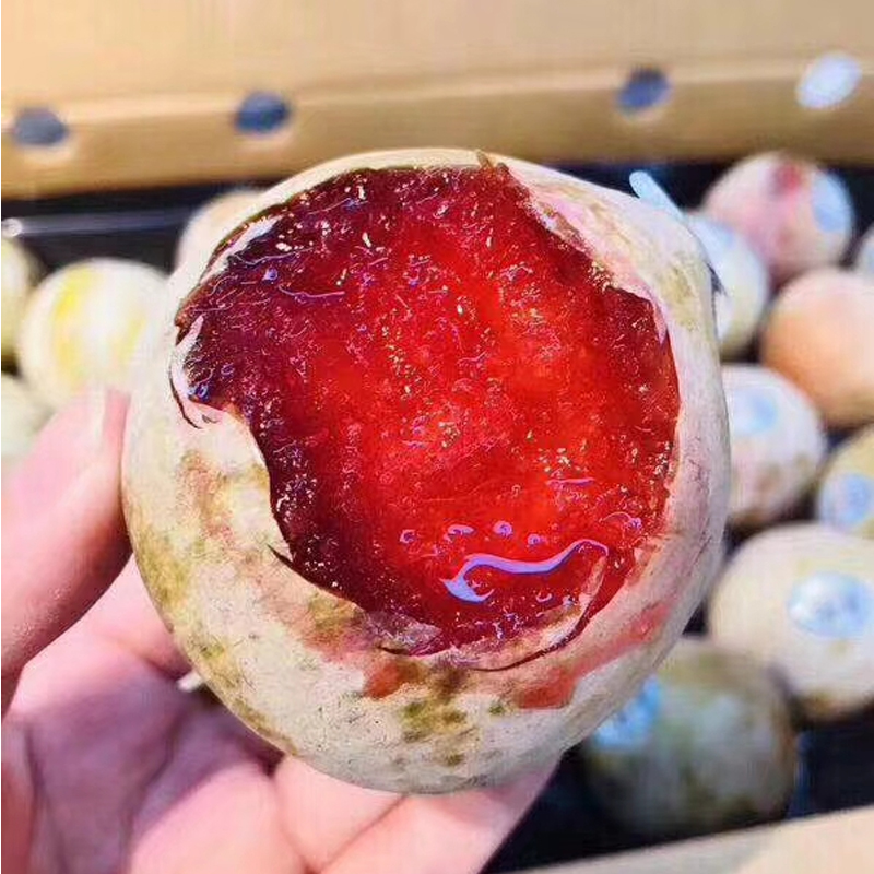 不接急单美国进口鳄鱼蛋原装红肉恐龙蛋超甜布林李子新鲜时令水果