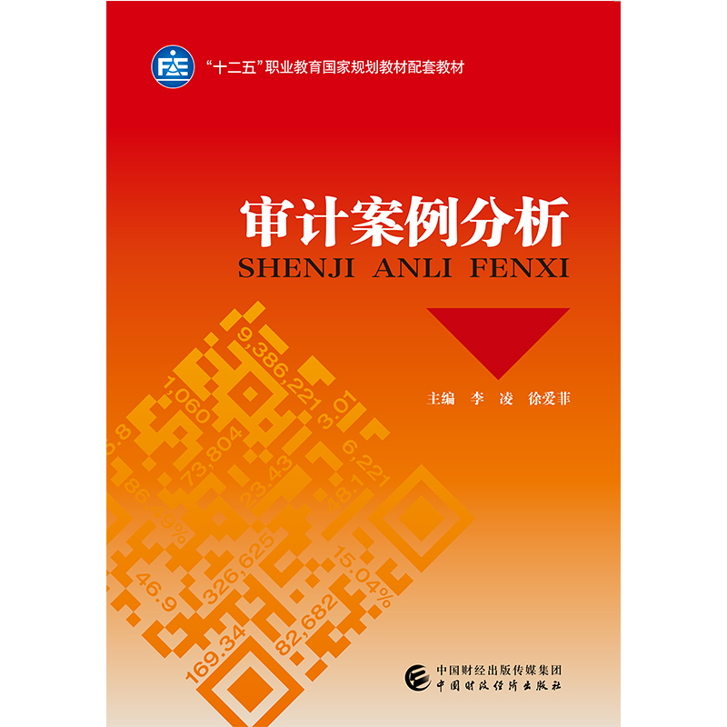 审计案例分析