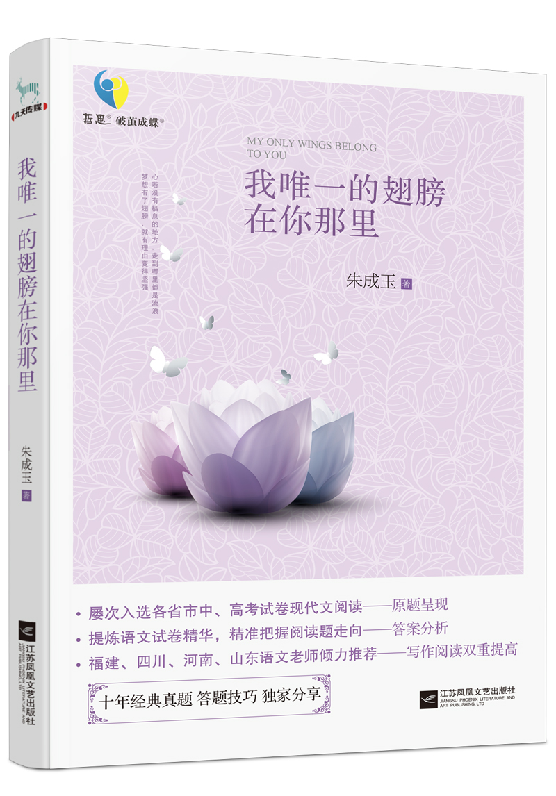 我唯一的翅膀在你那里
