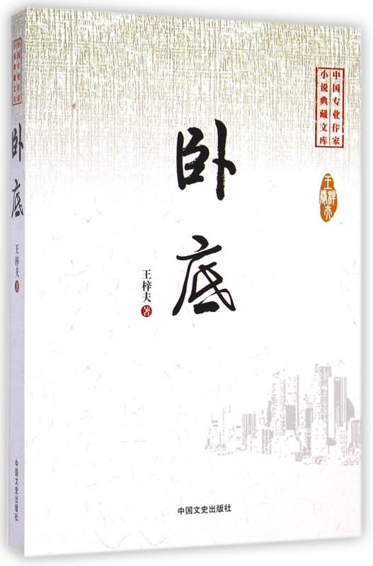 卧底/中国专业作家小说典藏文库