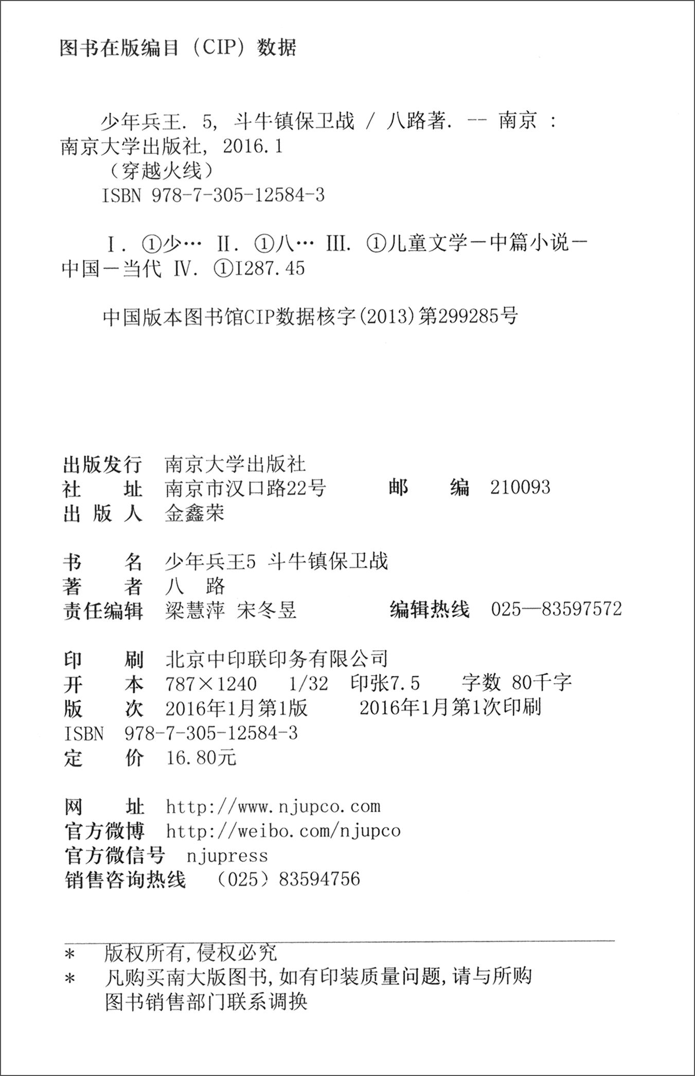 少年兵王5：斗牛镇保卫战