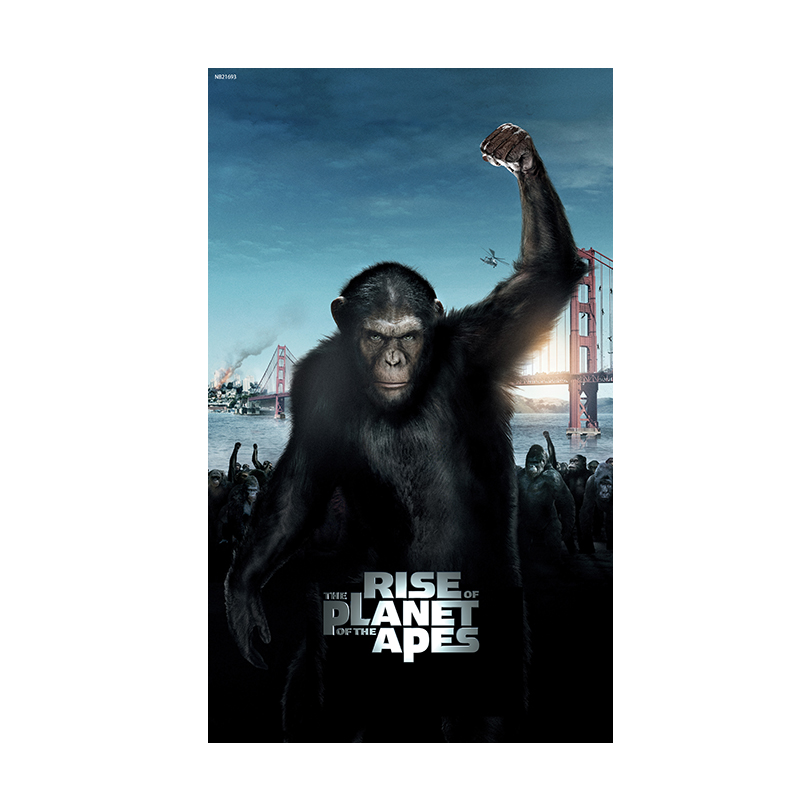 居梦坞猩球崛起黎明之战zhongji之战猿族崛起电影海报客厅装饰画贴画
