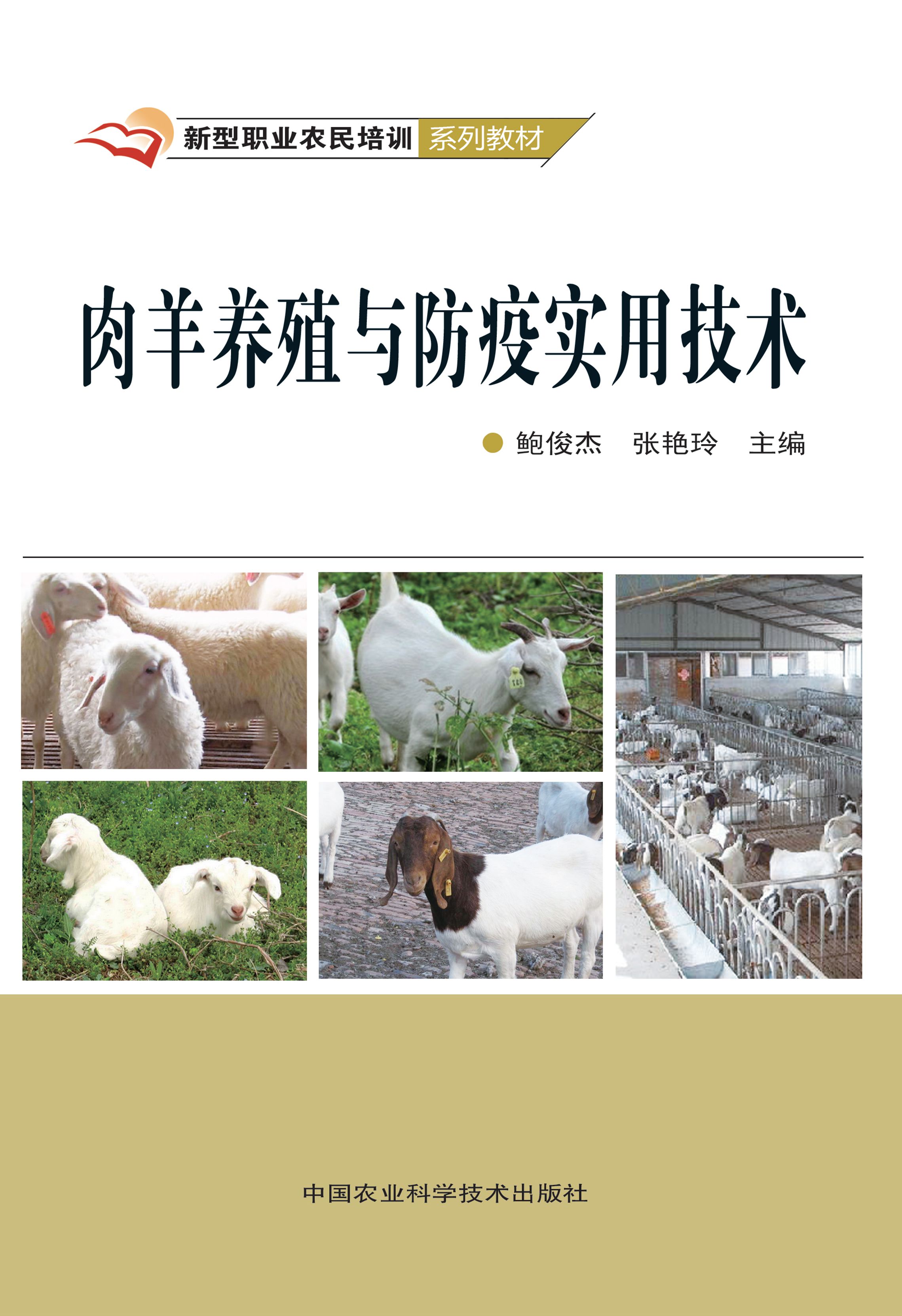 肉羊养殖与防疫实用技术