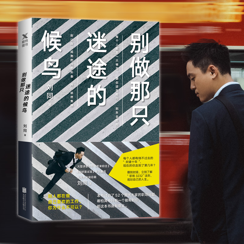 刘同：别做那只迷途的候鸟详情图