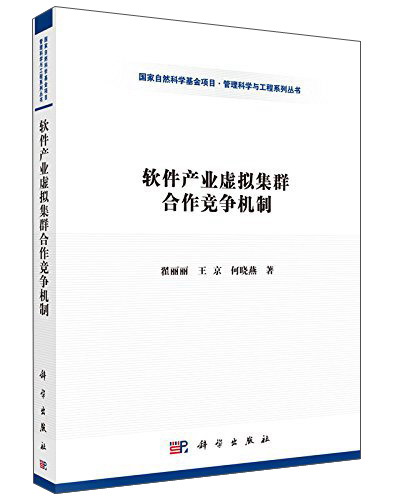 软件产业虚拟集群合作竞争机制