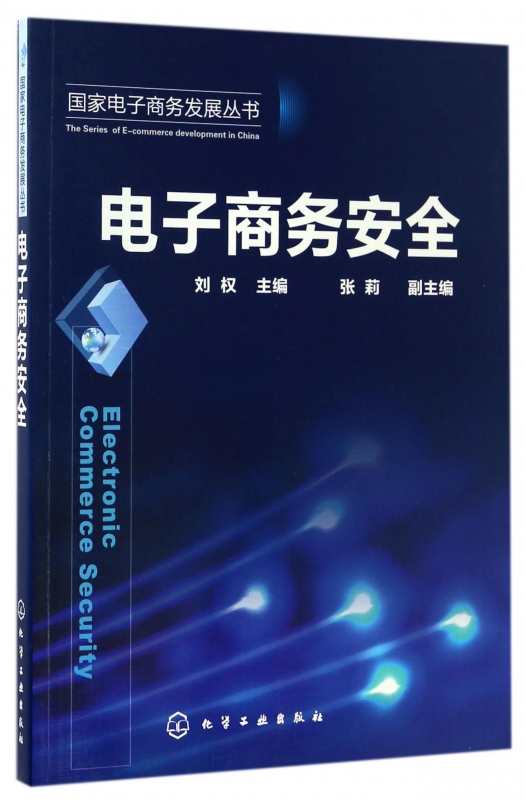 电子商务安全/国家电子商务发展丛书