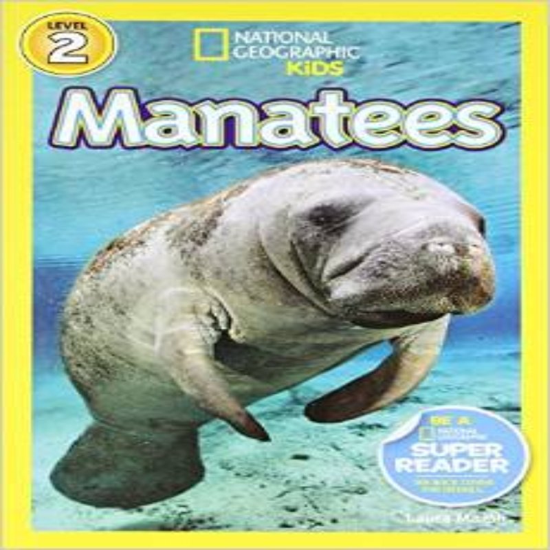预售 NGR MANATEES
