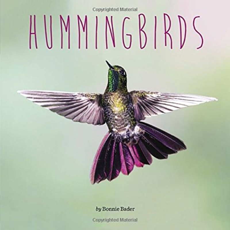 Penguin Core Concepts: Hummingbirds