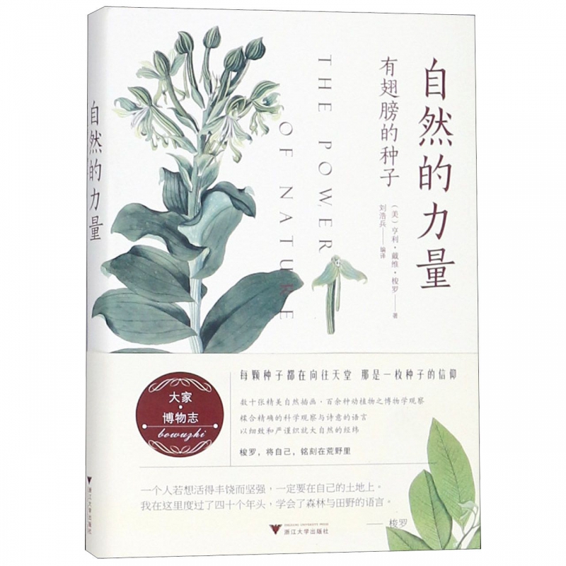 自然的力量(有翅膀的种子)