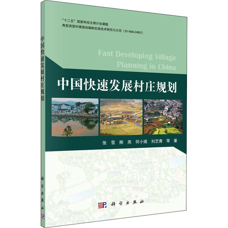 中国快速发展村规划
