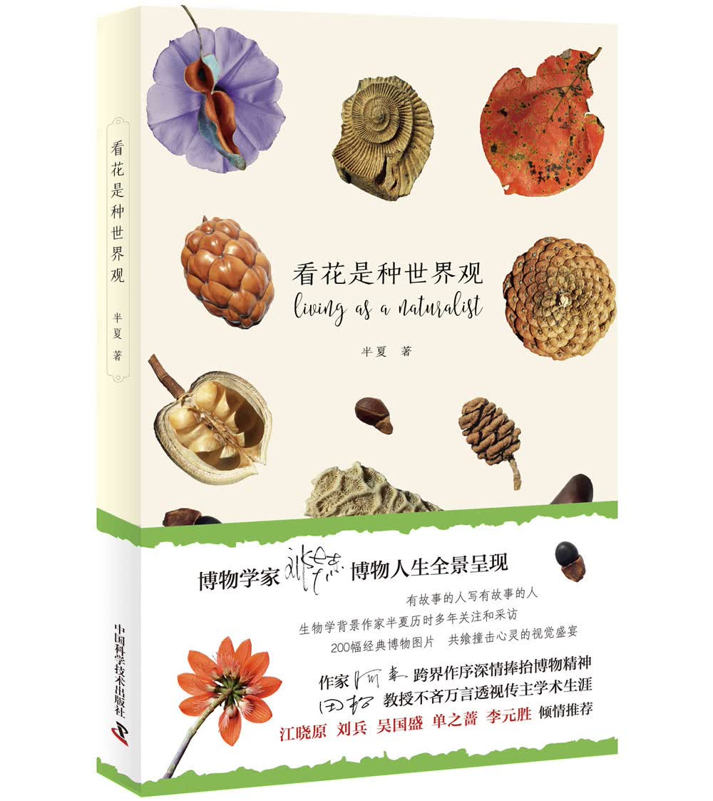 看花是种世界观