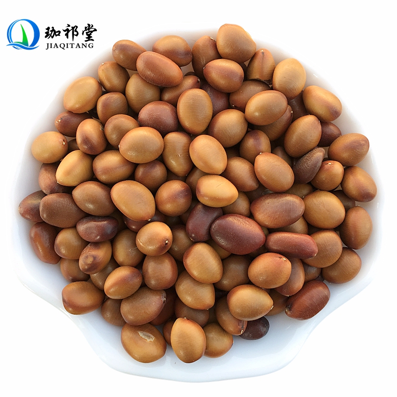 珈祁堂 皂角子中药材  100克  皂角籽 皂角核 皂角仁 皂荚籽 皂荚子