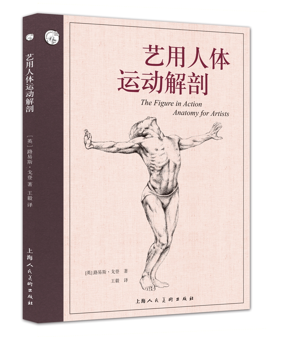 西方经典美术技法译丛—艺用人体运动解剖