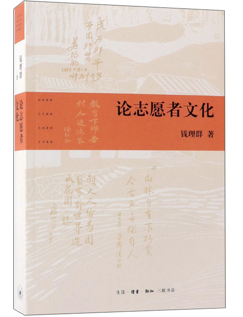 论志愿者文化