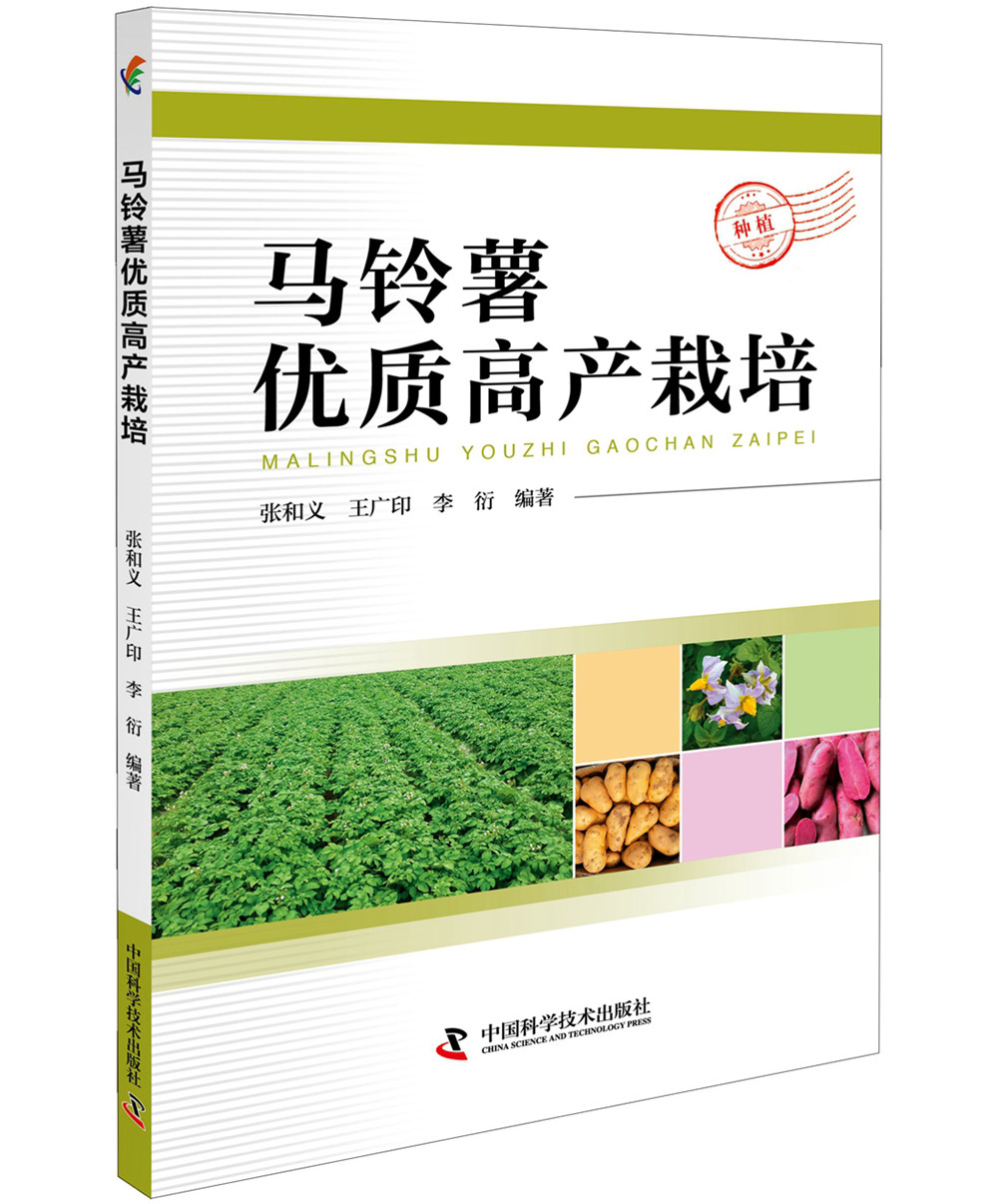 马铃薯优质高产栽培