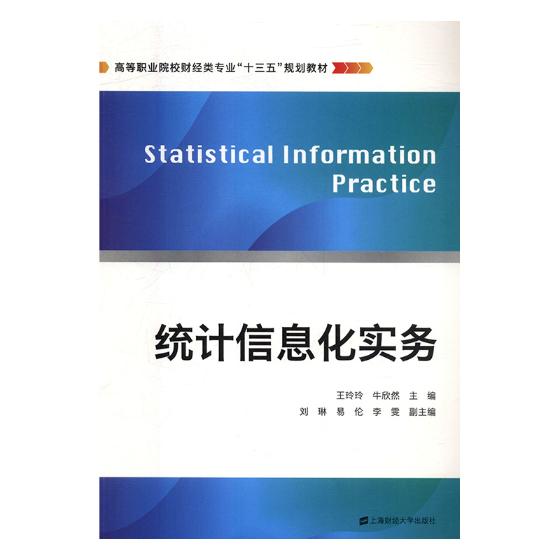 统计信息化实务