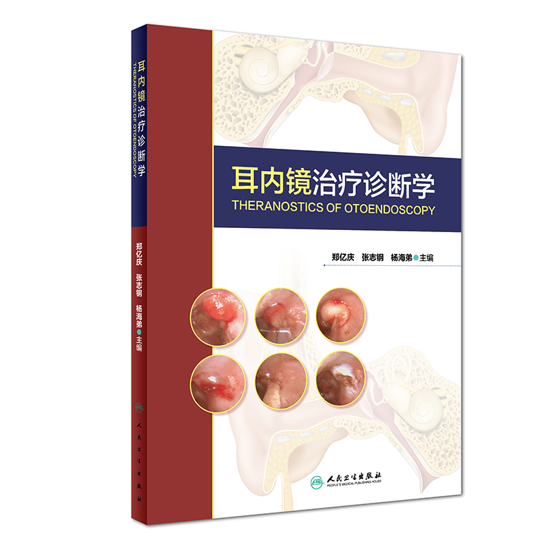 耳内镜治疗诊断学