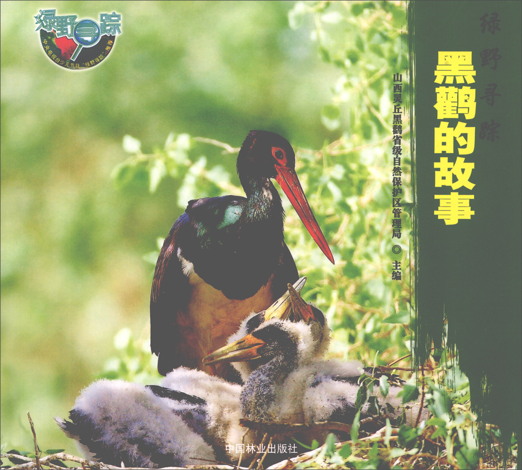 绿野寻踪：黑鹳的故事