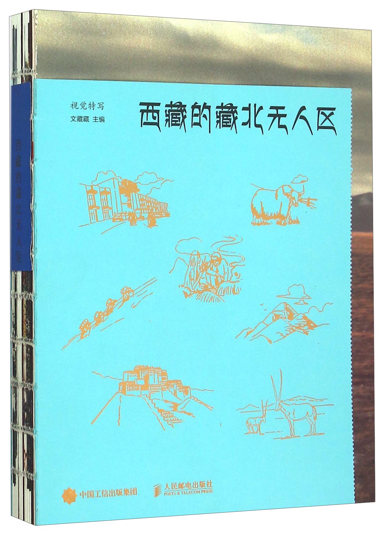 西藏的藏北无人区 视觉特写  视觉特写