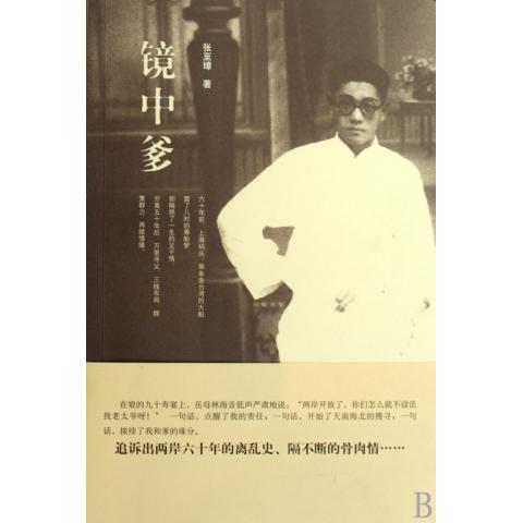 镜中爹