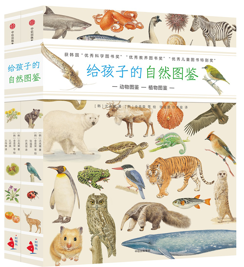 给孩子的自然图鉴（套装共2册）【7-10岁】 儿童科普 