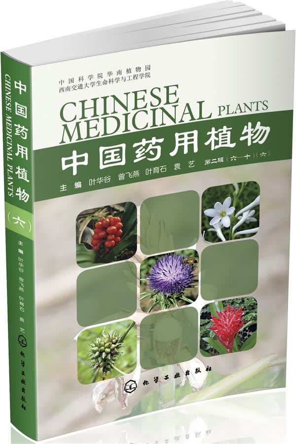 中国药用植物（六）