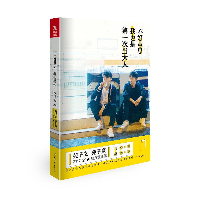 不好意思我也是第一次当大人 苑子文苑子豪的书