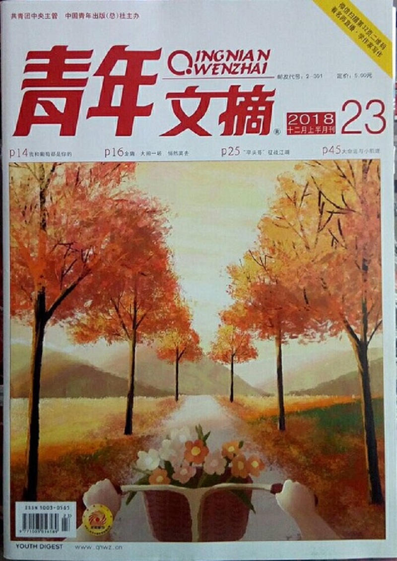 青年文摘(2018年12月上/下合刊)
