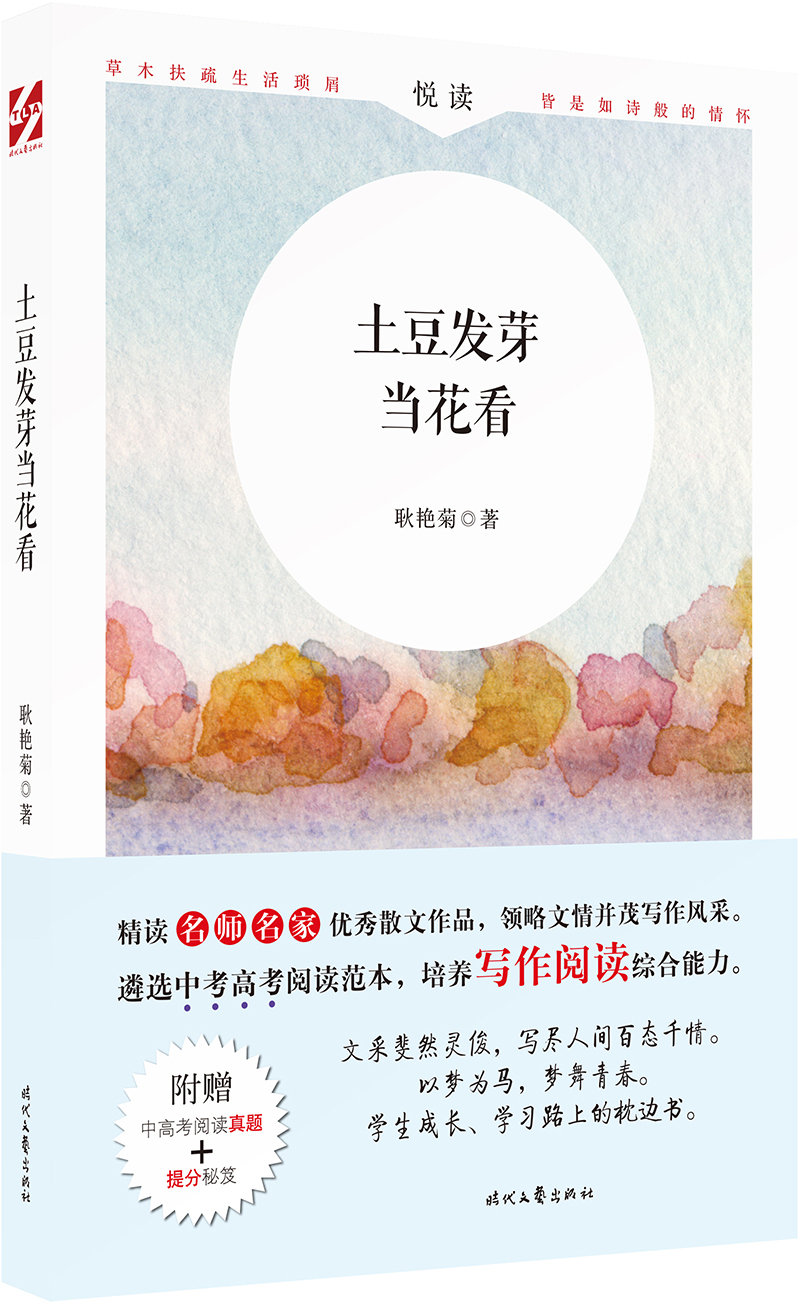 土豆发芽当花看