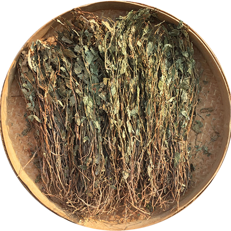 新鲜鱼腥草干 带根晒干折耳夏天凉茶农家自采500克 采500克