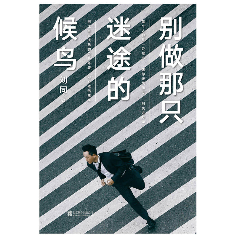 刘同：别做那只迷途的候鸟详情图