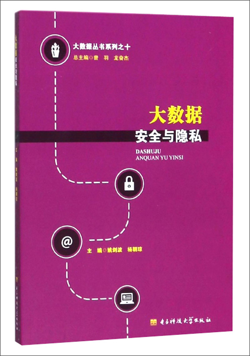 大数据安全与隐私/大数据丛书系列