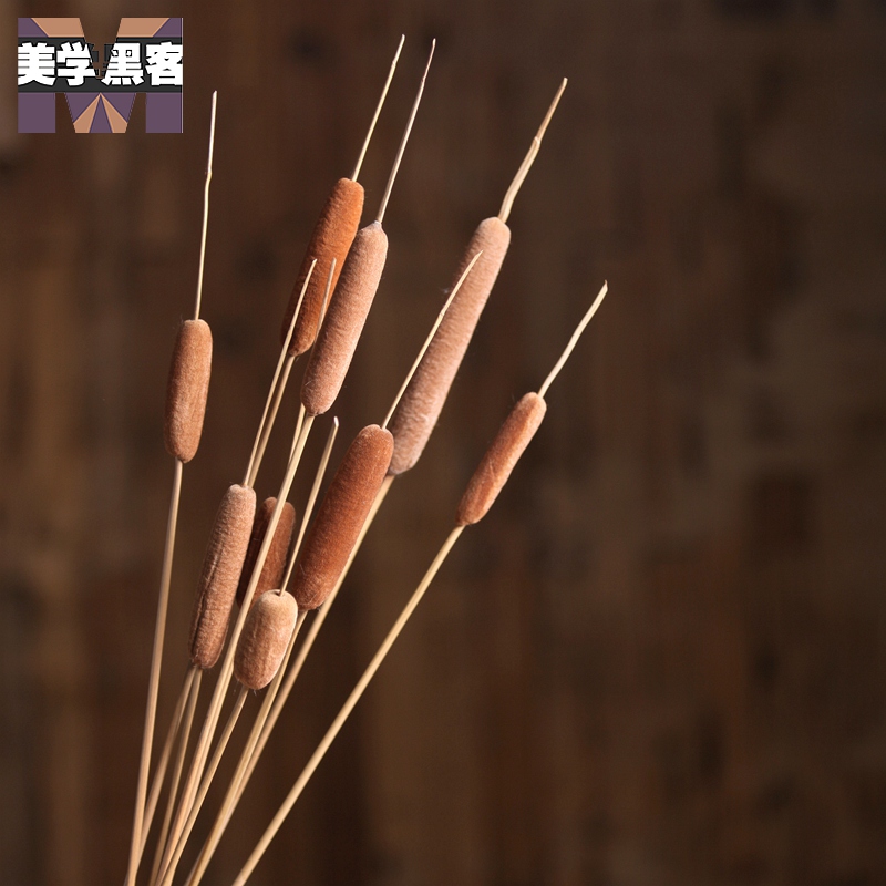 美学黑客 蒲棒干花水蜡烛插花仿真花天然干枝干花仿真花客厅落地 两支