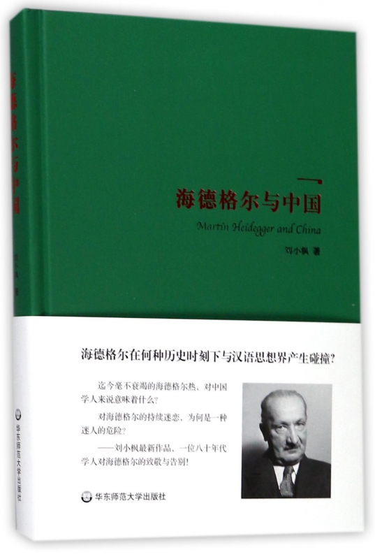 海德格尔与中国(精)
