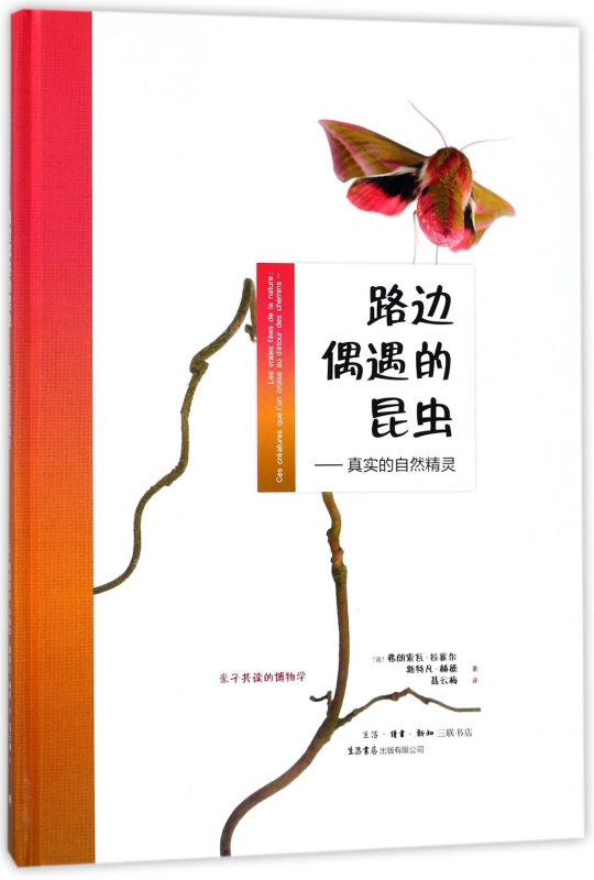 路边偶遇的昆虫--真实的自然精灵(精)