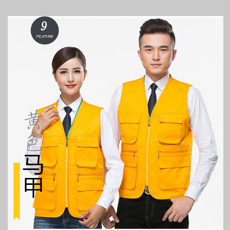 查马甲背心历史价格|马甲背心价格走势图