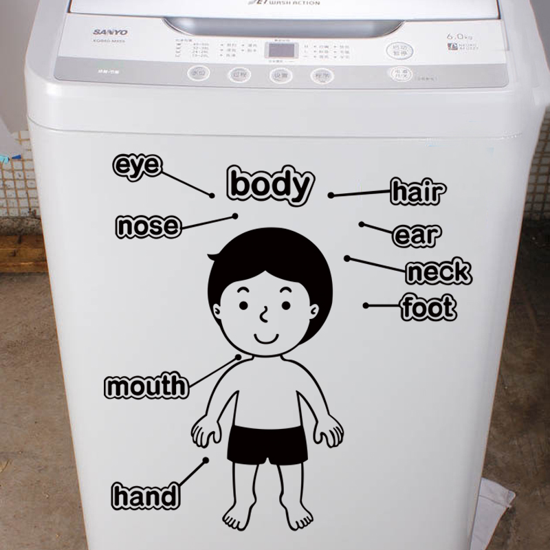 精雕双面墙贴画 教学儿童房贴饰 幼儿英语墙贴纸学校贴纸 f 人体部位