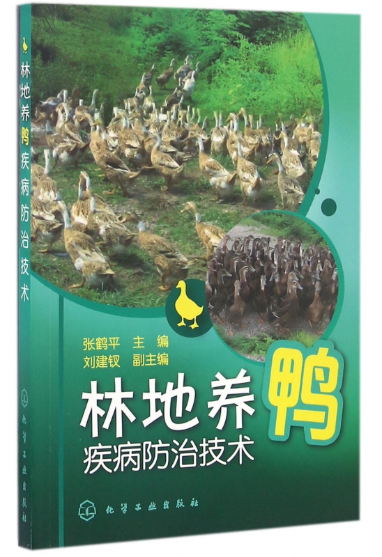 林地养鸭疾病防治技术