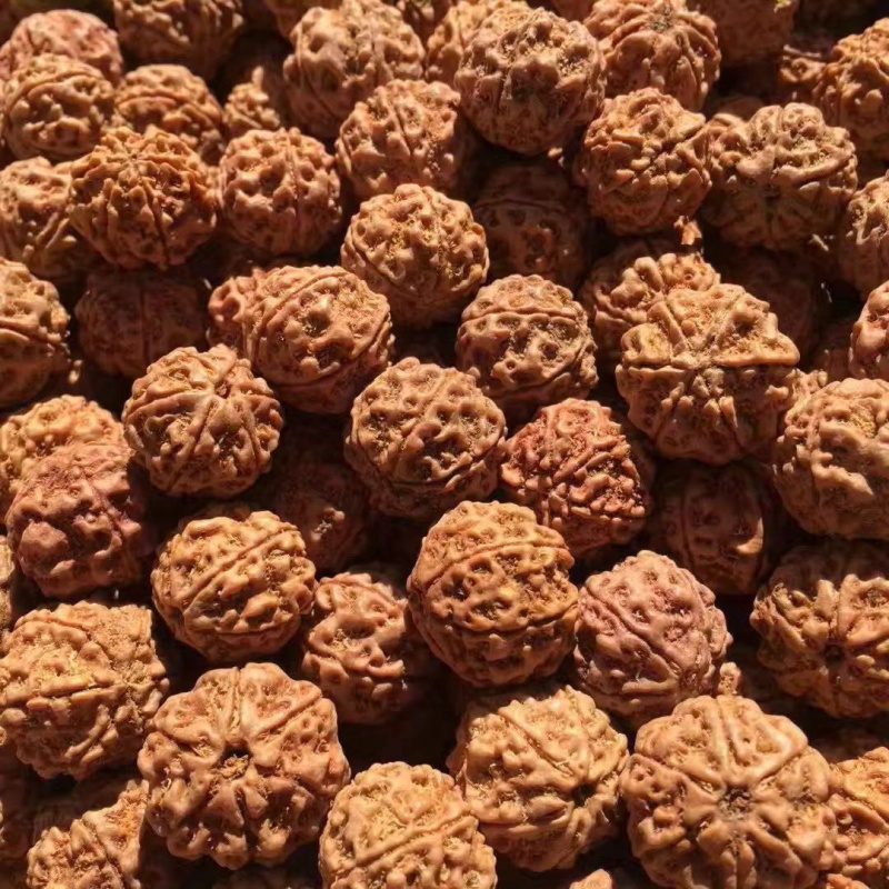 尼泊尔大金刚菩提子四5五六瓣散珠原籽批发男士手串108颗佛珠 五瓣爆