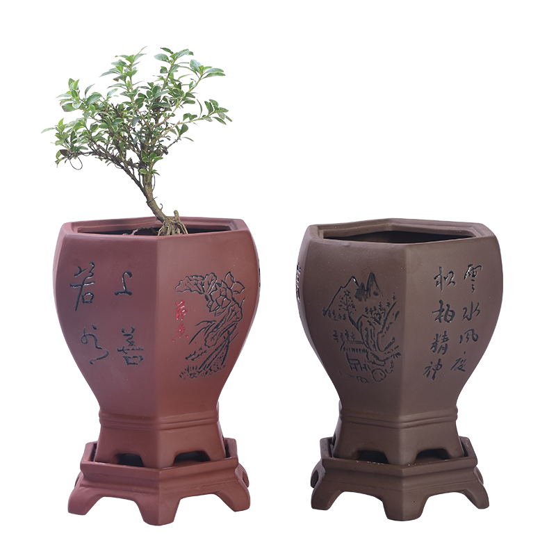 裕軒堂 紫砂君子蘭花盆粗陶多肉植物花盆大號發(fā)財樹(shù)吊蘭花盆帶托盤(pán) 紫砂0319紅（上善若水）