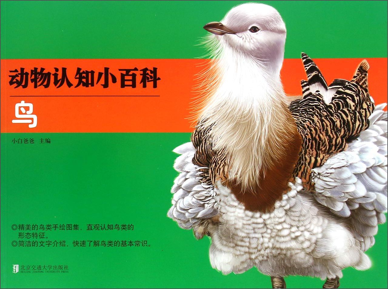 动物认知小百科：鸟 早教启蒙