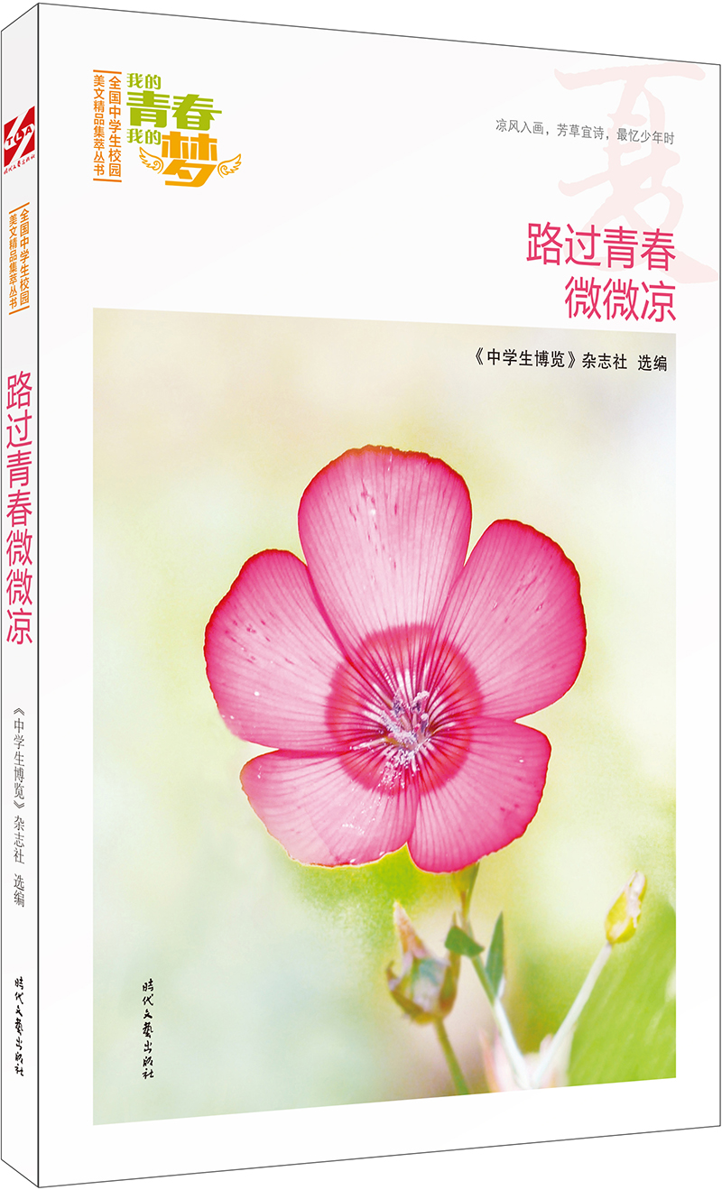 我的青春我的梦：（夏）路过青春微微凉