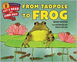 从蝌蚪到青蛙 From Tadpole to Frog 进口原版英文儿童绘本