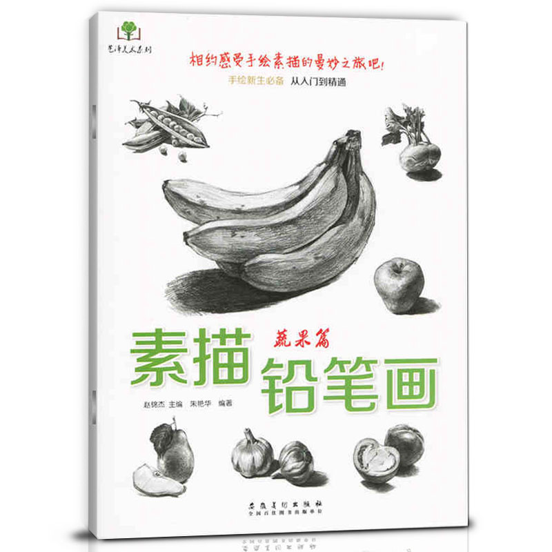 素描铅笔画蔬果篇 手绘新生 从入门到精髓铅笔画起步零基础技法 艺术