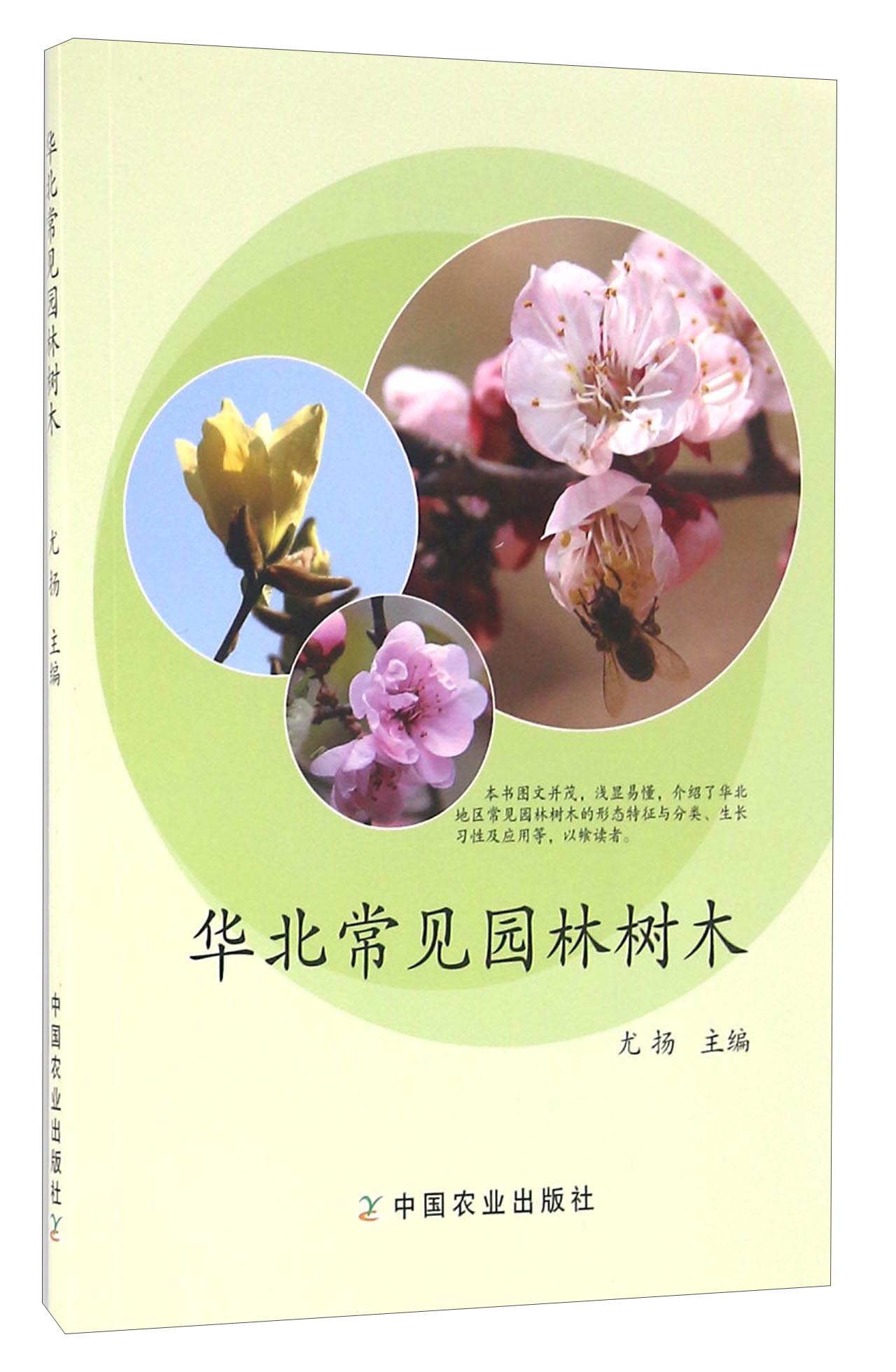 华北常见园林树木